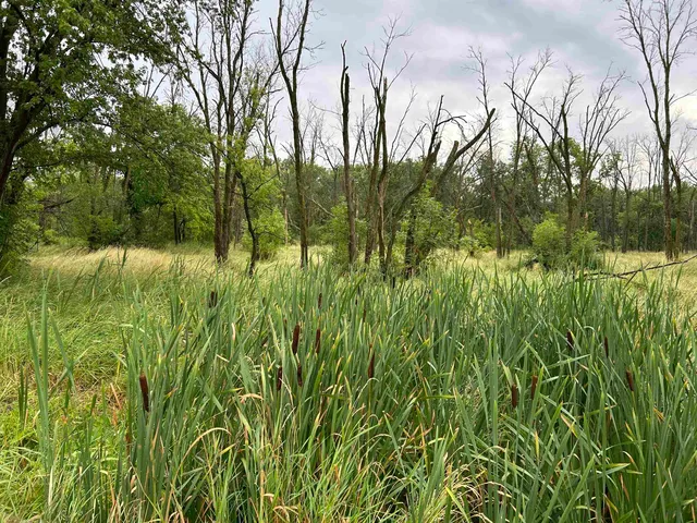 $145,000 | 0 Beaver Road, Freeport, IL 61032