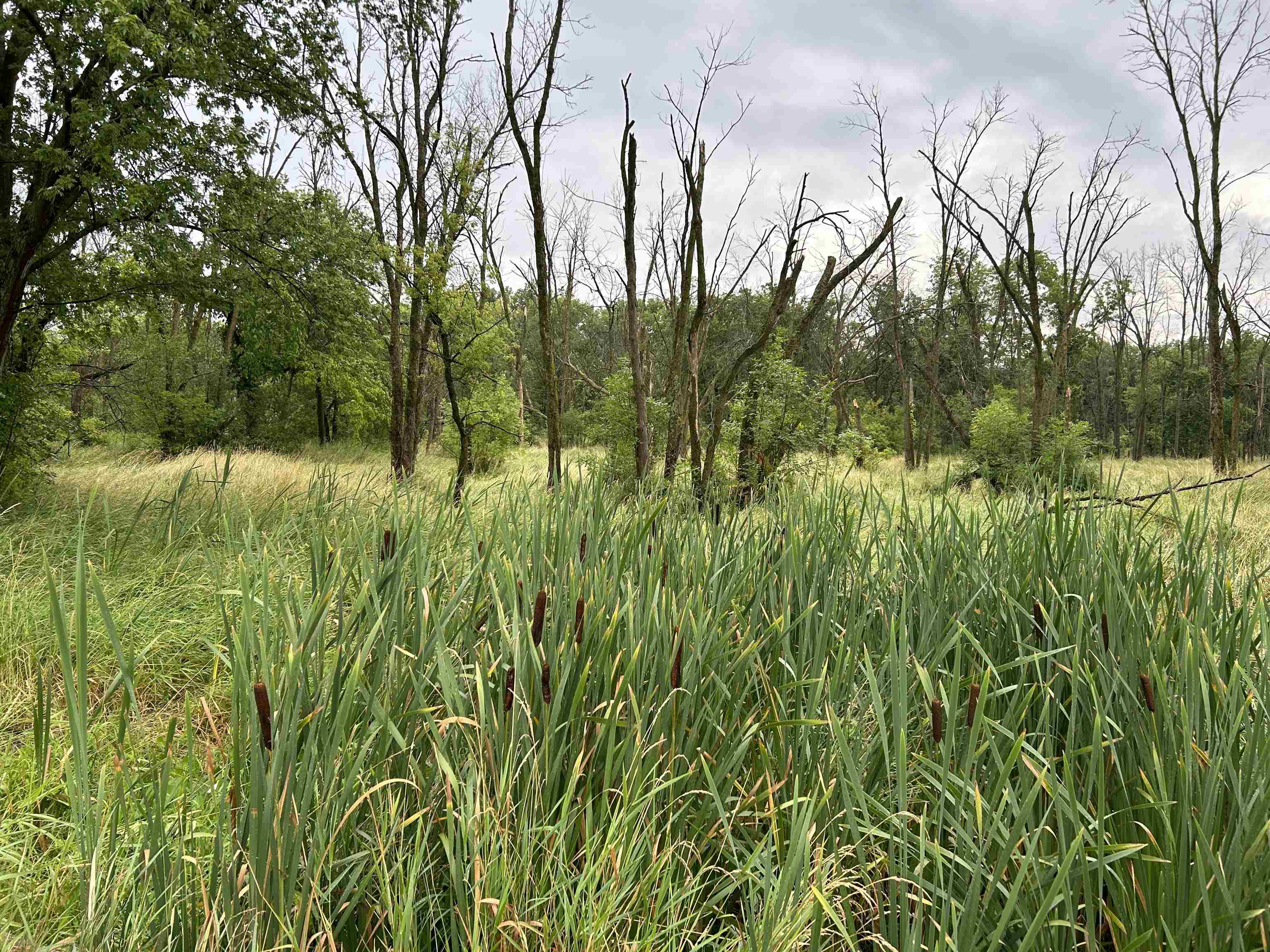0 Beaver Road Freeport, IL 61032 - Photo 5 of 6