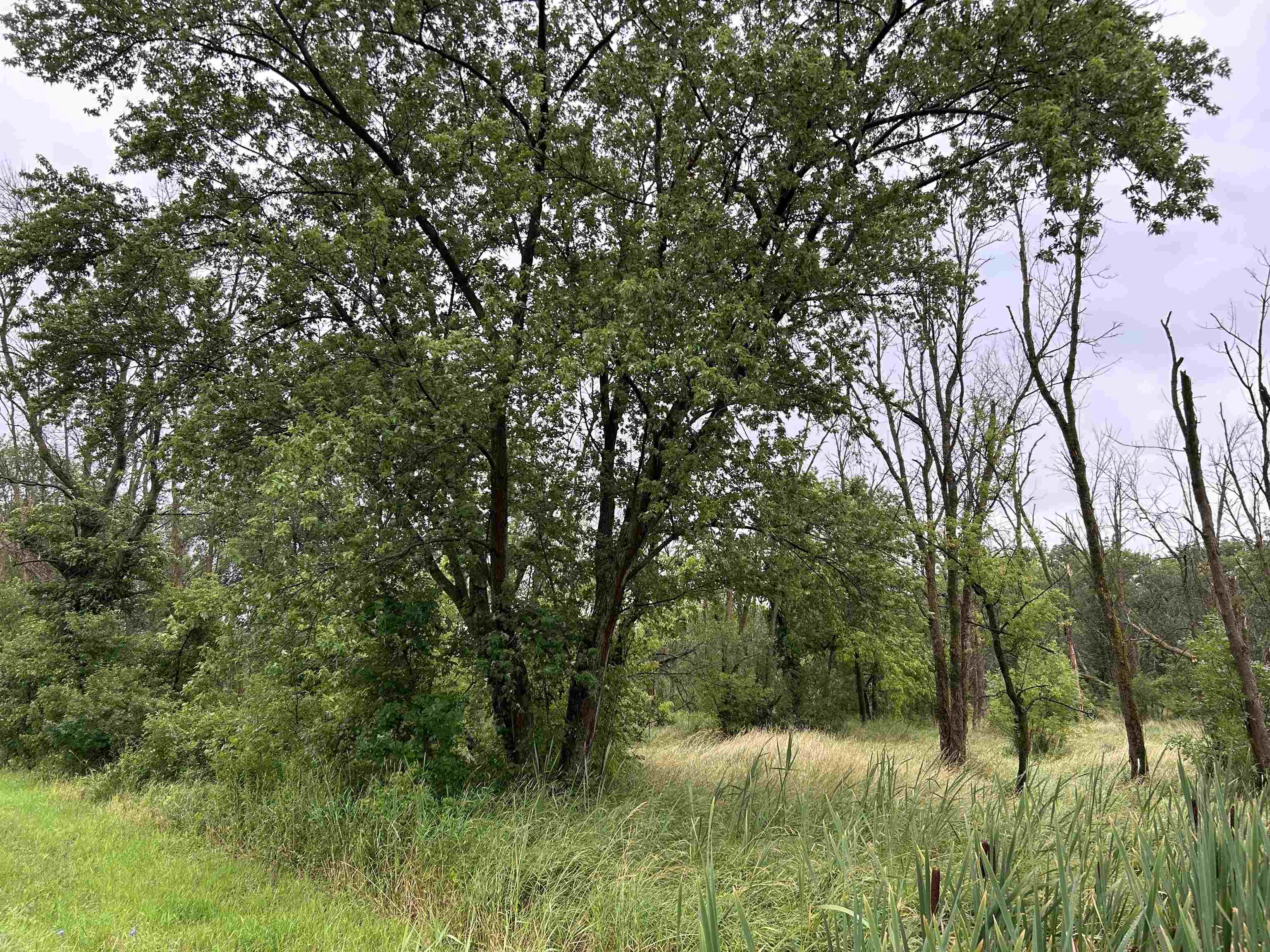 0 Beaver Road Freeport, IL 61032 - Photo 6 of 6