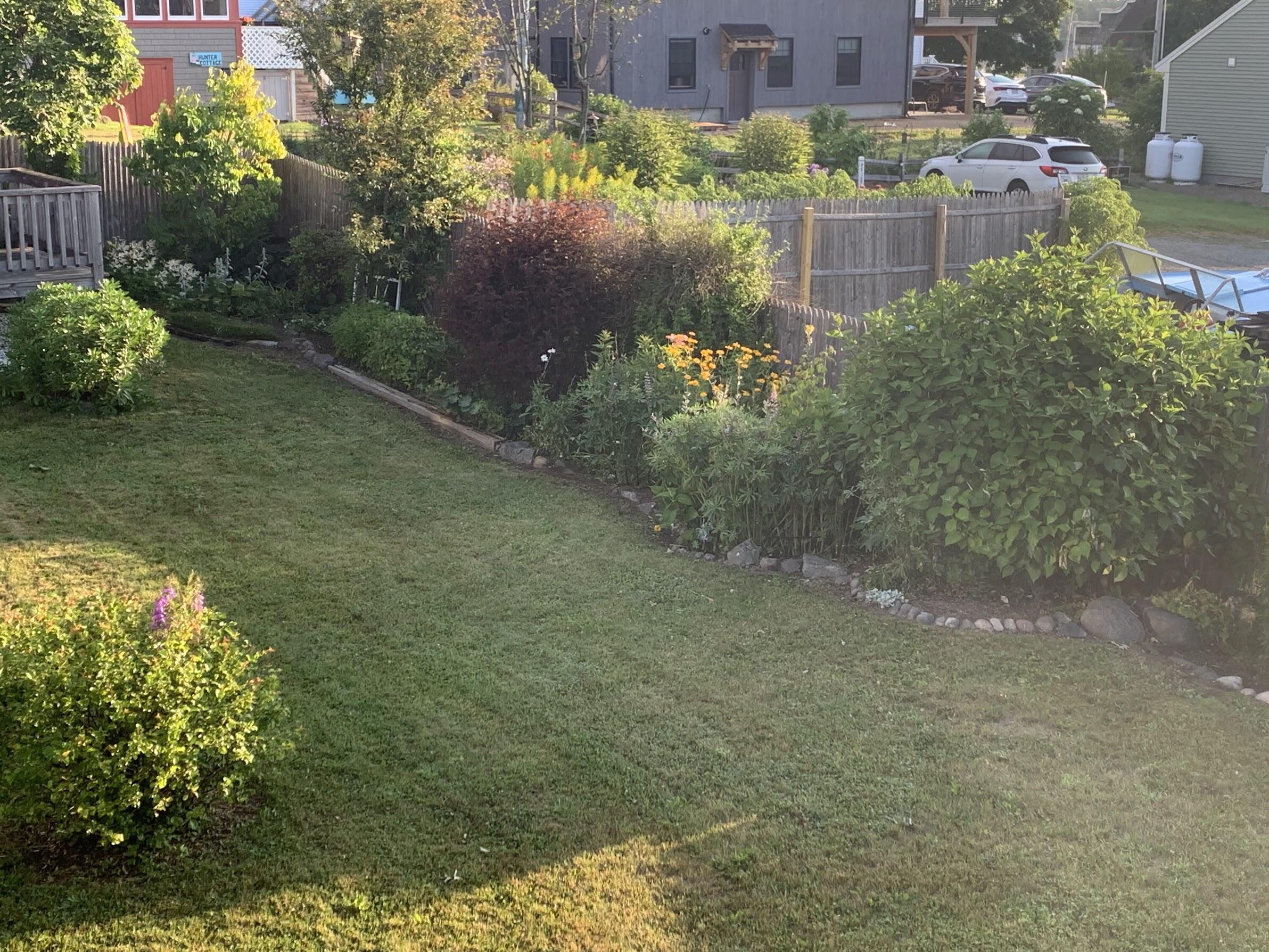 23 Washington Street Lubec, ME 04652 - Photo 31 of 49 23 Washington - Backyard 4