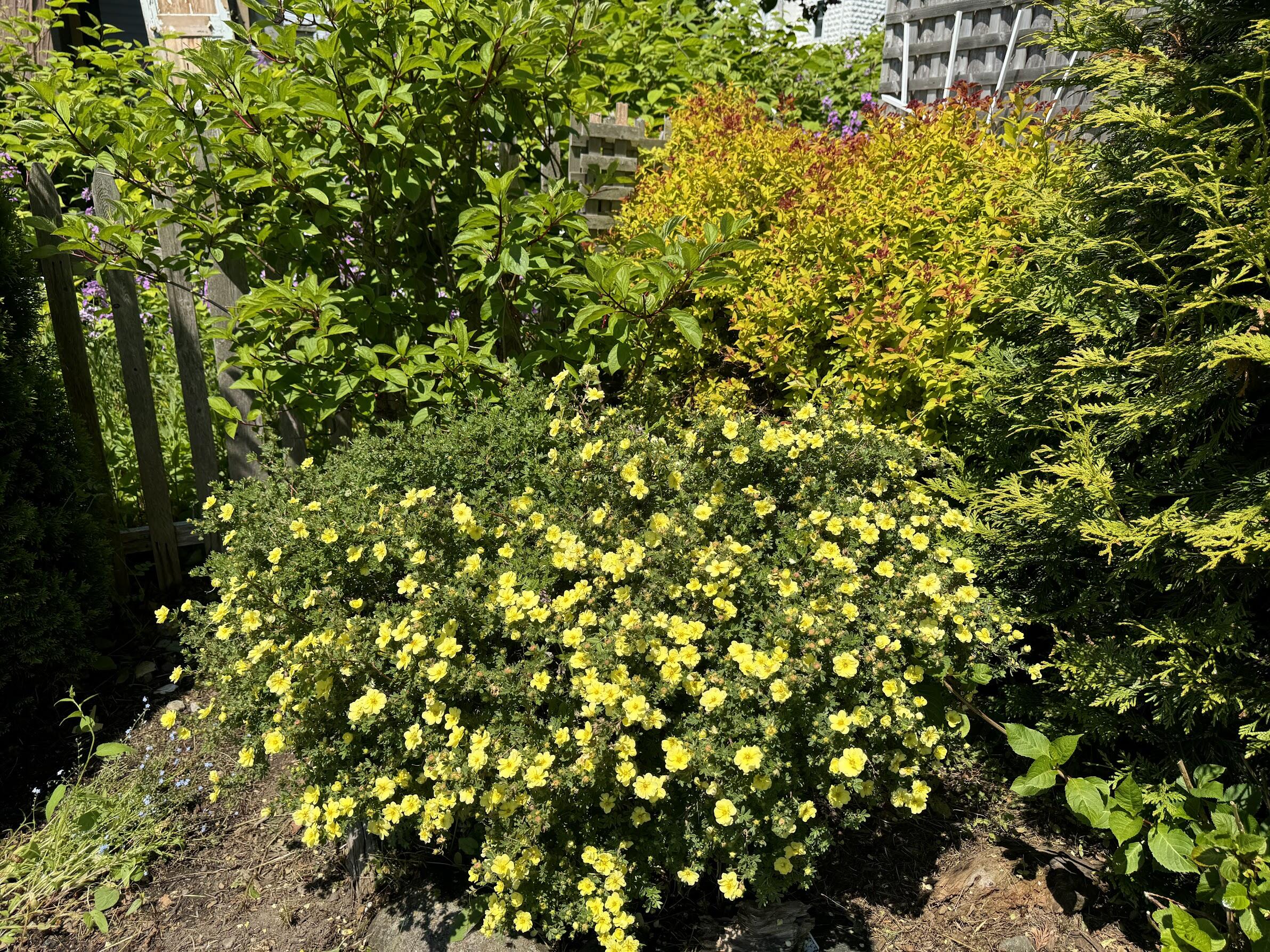23 Washington Street Lubec, ME 04652 - Photo 35 of 49 23 Washington - Backyard 12