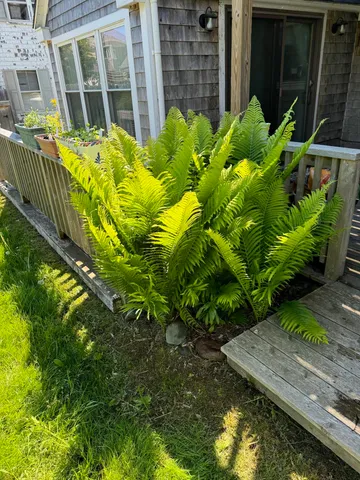 $399,000 | 23 Washington Street, Lubec, ME 04652