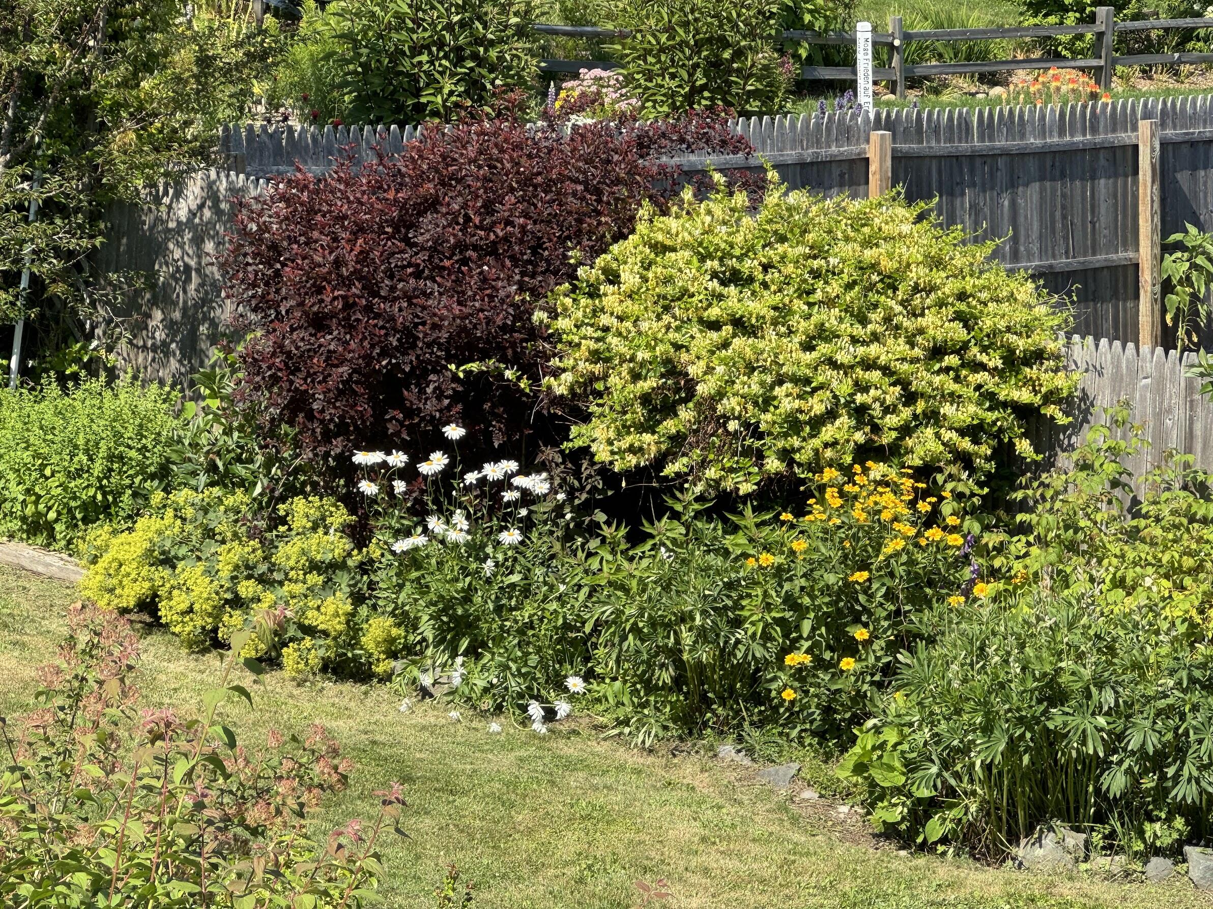 23 Washington Street Lubec, ME 04652 - Photo 39 of 49 23 Washington - Backyard 19