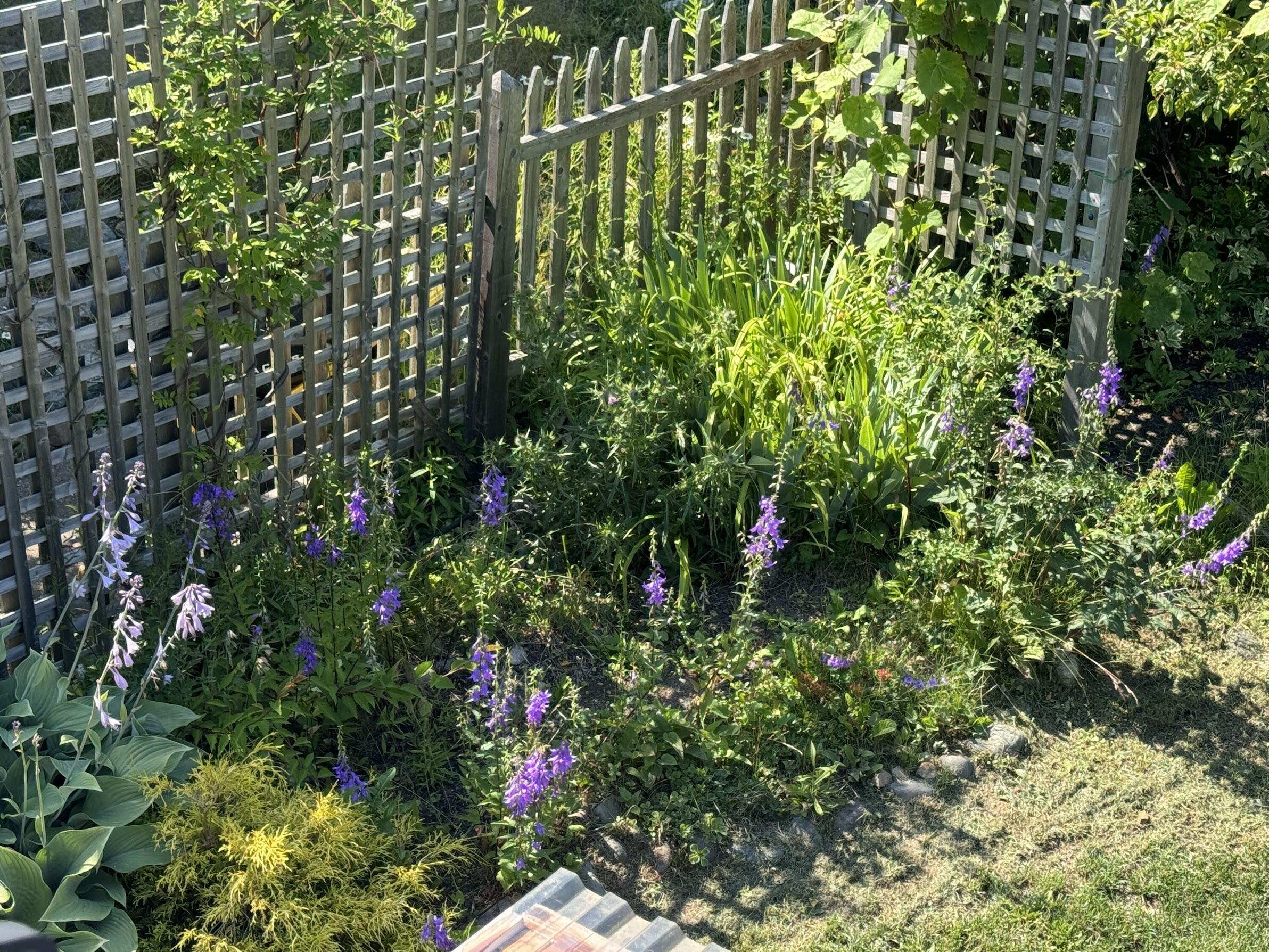 23 Washington Street Lubec, ME 04652 - Photo 40 of 49 23 Washington - Backyard 20