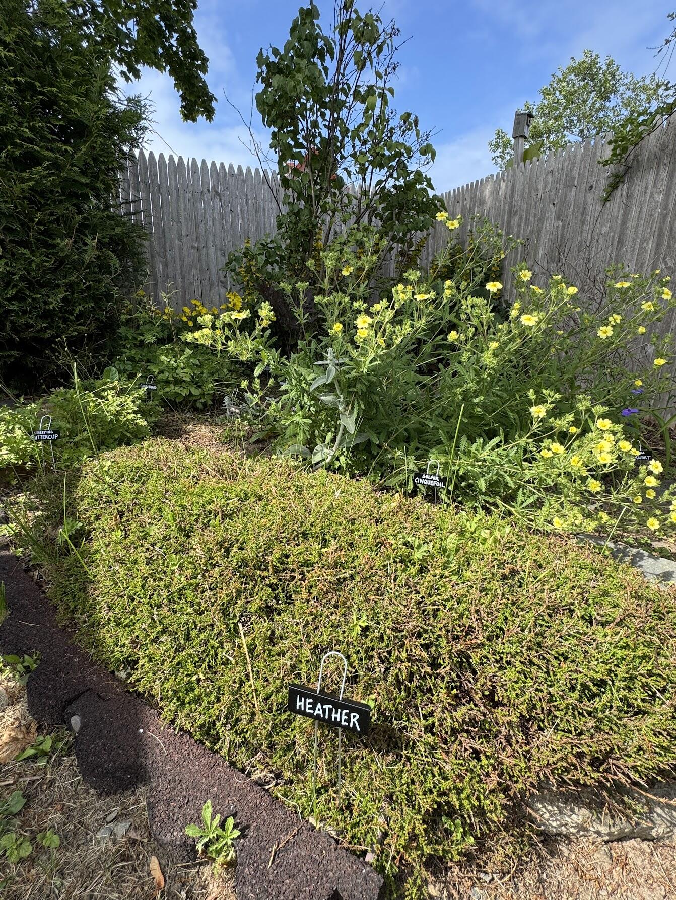 23 Washington Street Lubec, ME 04652 - Photo 41 of 49 23 Washington - Backyard 22