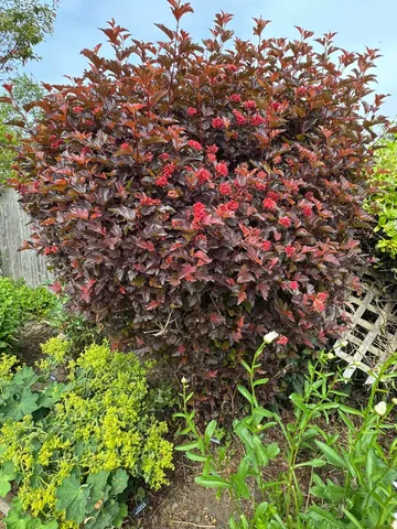 $399,000 | 23 Washington Street, Lubec, ME 04652