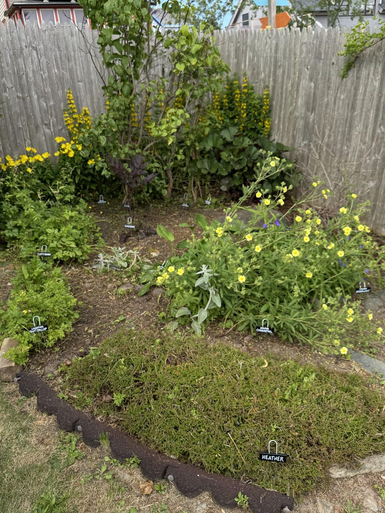 23 Washington Street Lubec, ME 04652 - Photo 43 of 49 23 Washington - Backyard 26