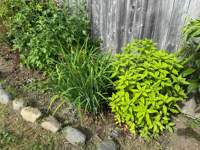 $399,000 | 23 Washington Street, Lubec, ME 04652