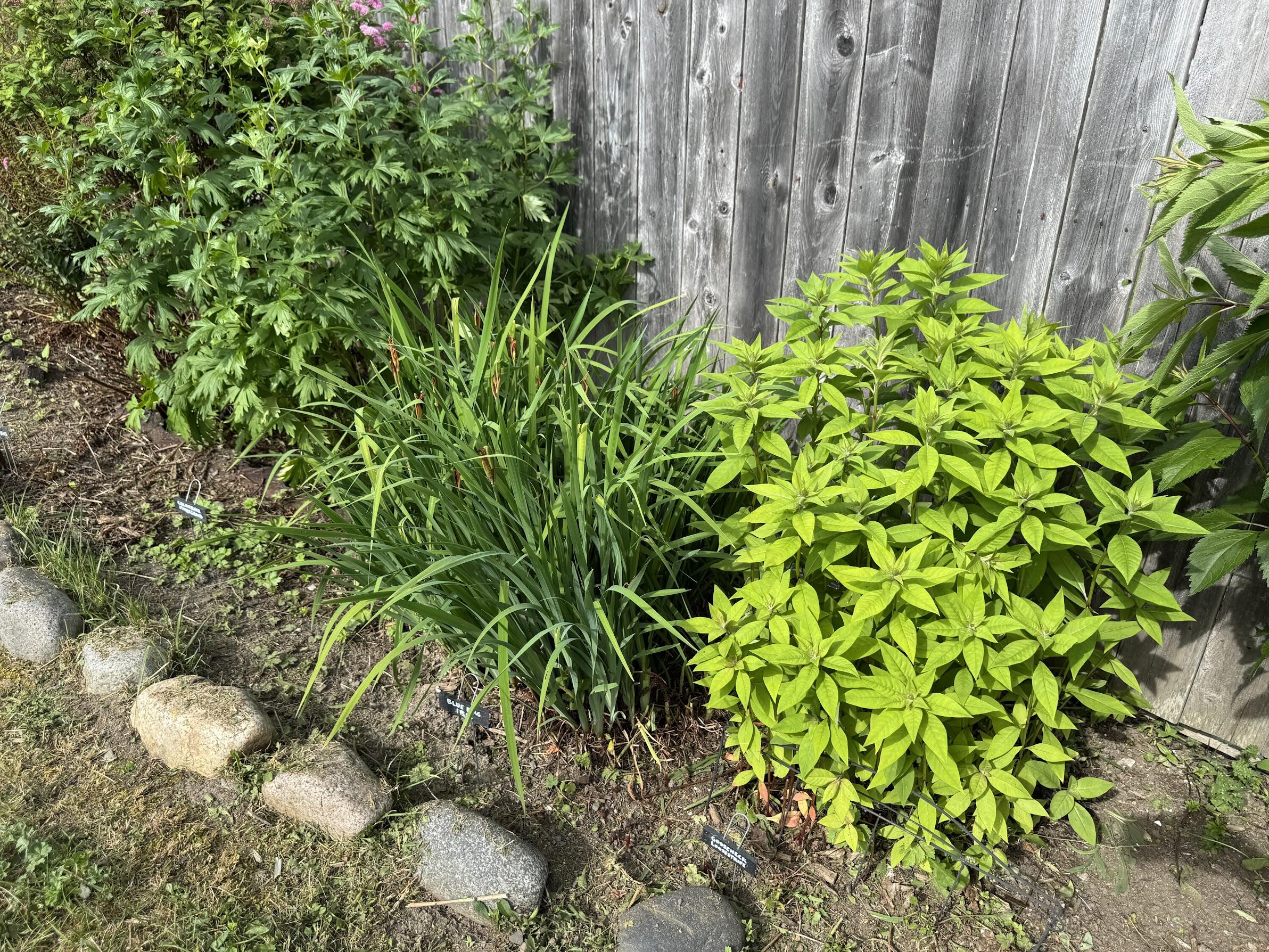 23 Washington Street Lubec, ME 04652 - Photo 44 of 49 23 Washington - Backyard 35