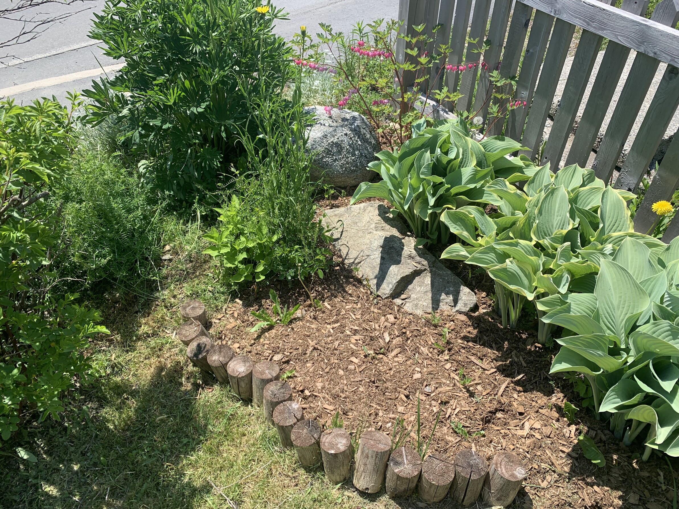 23 Washington Street Lubec, ME 04652 - Photo 47 of 49 23 Washington - Frontyard 2