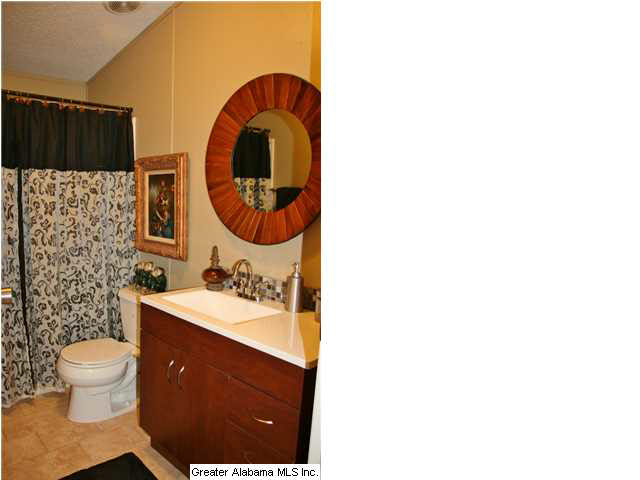 8141 Serene Lake Road McCalla, AL 35111 - Photo 26 of 32