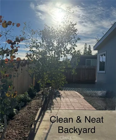 a view of a park with large trees