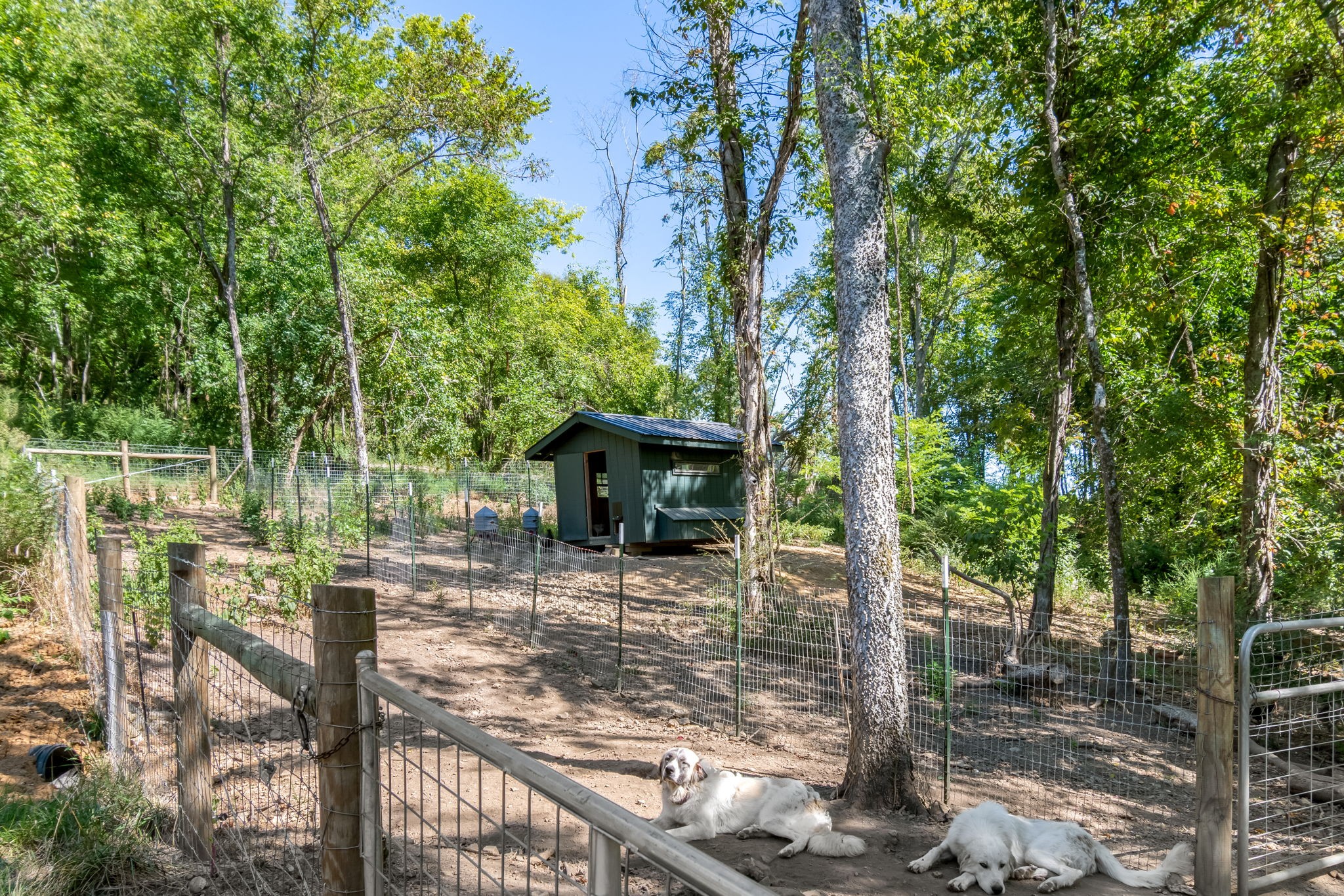 2320 Stephens Road Columbia, TN 38401 - Photo 40 of 47