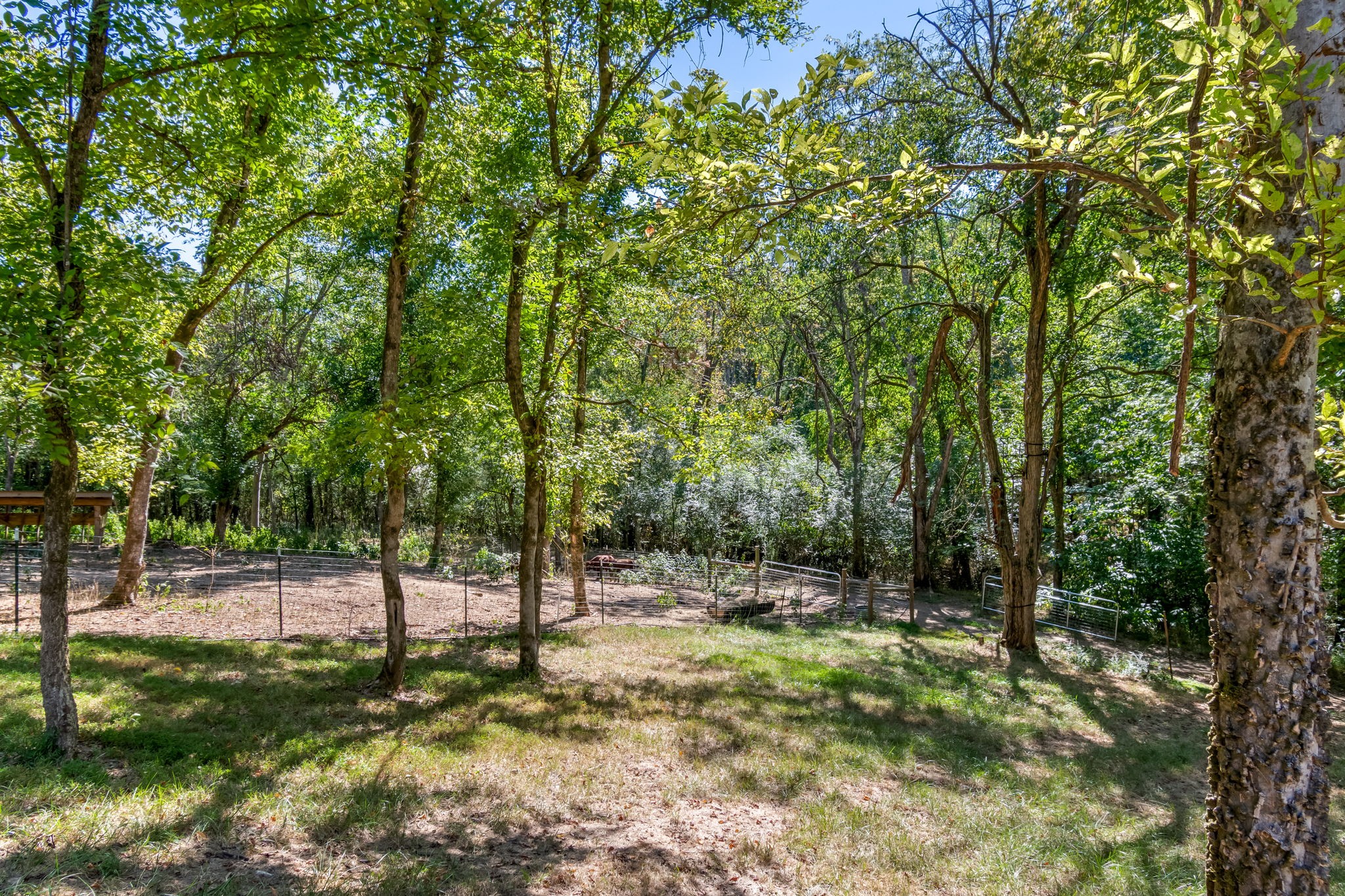 2320 Stephens Road Columbia, TN 38401 - Photo 42 of 47