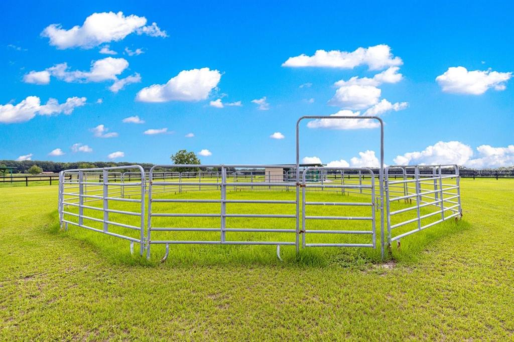 12345 Northeast 14th Avenue Anthony, FL 32617 - Photo 11 of 91