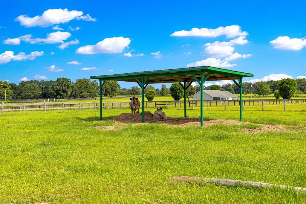 12345 Northeast 14th Avenue Anthony, FL 32617 - Photo 26 of 91