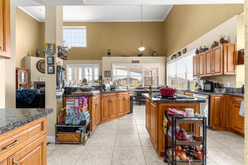 12345 Northeast 14th Avenue Anthony, FL 32617 - Photo 57 of 91 a kitchen with granite countertop lots of counter top space