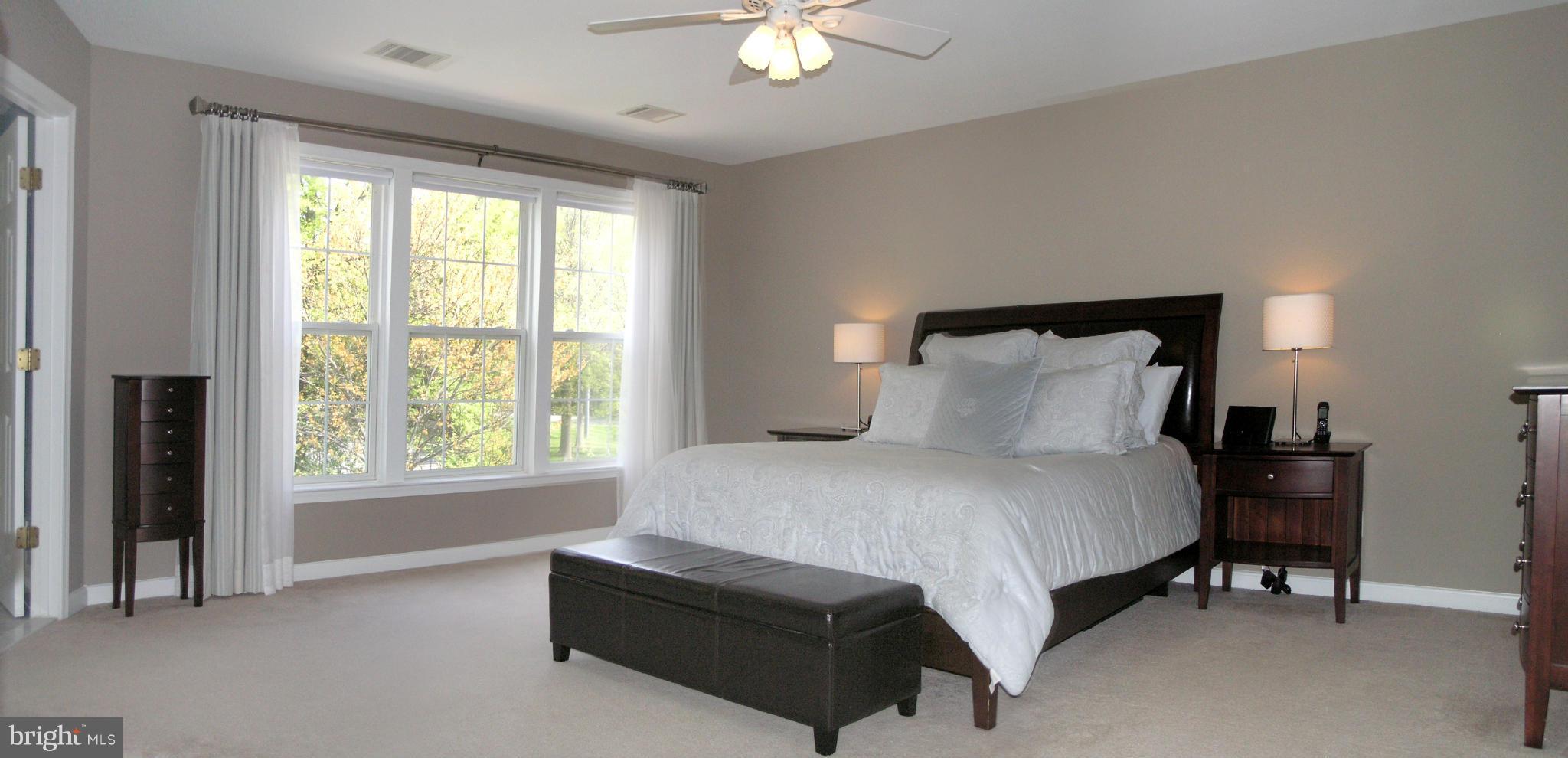 2443 Arctic Fox Way Reston, VA 20191 - Photo 13 of 30 Bedroom (Master)