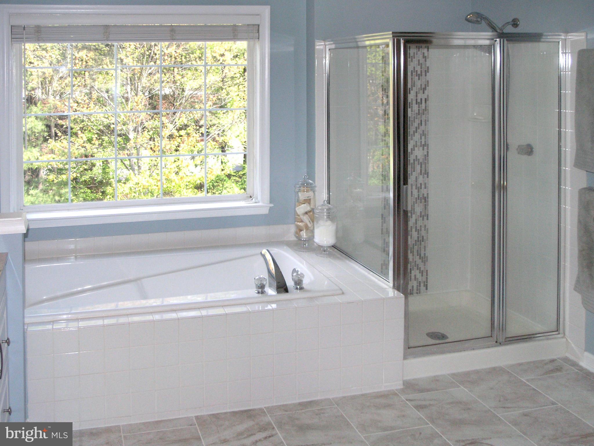 2443 Arctic Fox Way Reston, VA 20191 - Photo 15 of 30 Bath (Master)