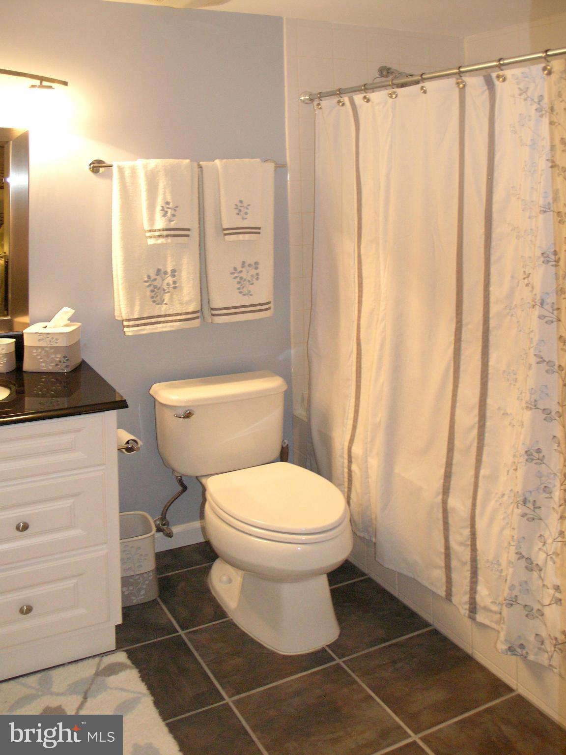 2443 Arctic Fox Way Reston, VA 20191 - Photo 24 of 30 Bath