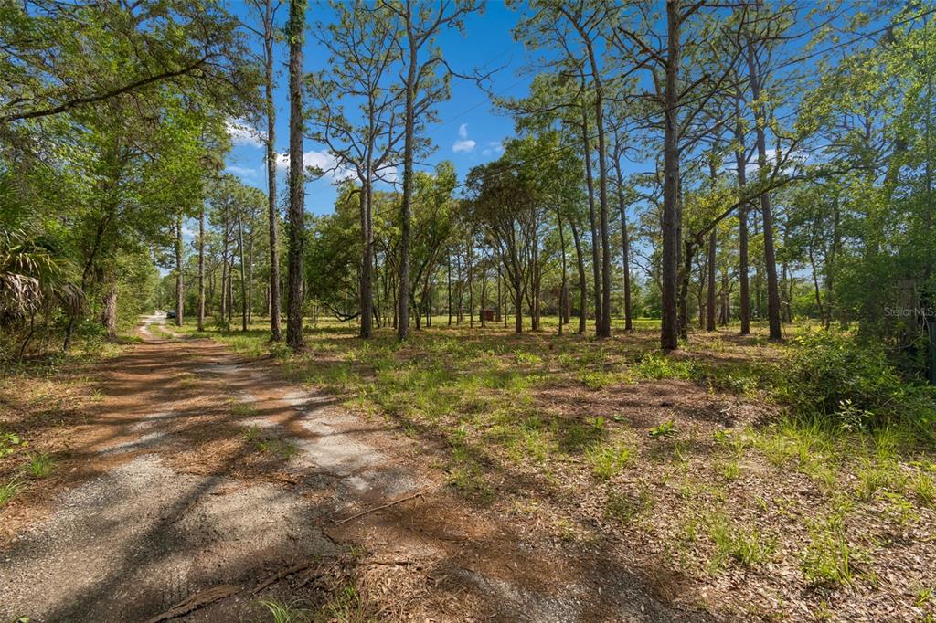 Grove Road Brooksville, FL 34613 - Photo 8 of 26