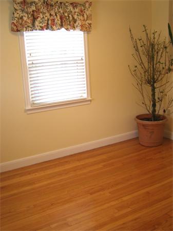 50 Cranmore Road Boston, MA 02136 - Photo 5 of 18 Gallery Image 5