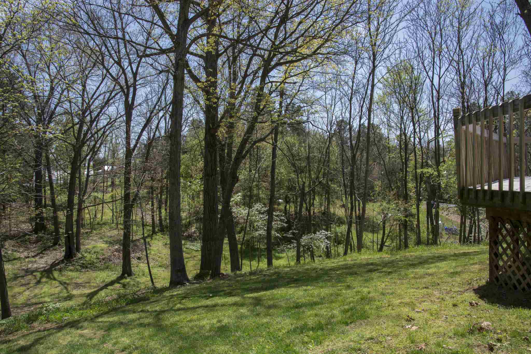 373 Coffman Road Weyers Cave, VA 24486 - Photo 27 of 28 Gallery Image 27