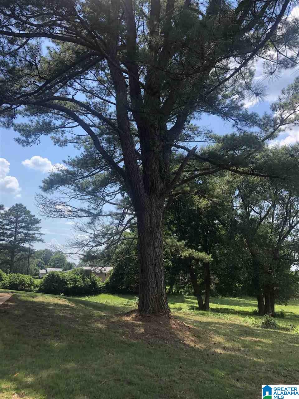 265 Bearden Street Montevallo, AL 35115 - Photo 8 of 14