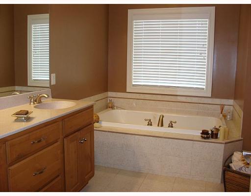 543 Justabout Road Venetia, PA 15367 - Photo 13 of 18 Master Bath/Spa.