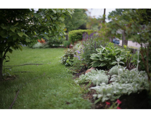 10 Old Wood Road Framingham, MA 01701 - Photo 16 of 17 Gallery Image 16