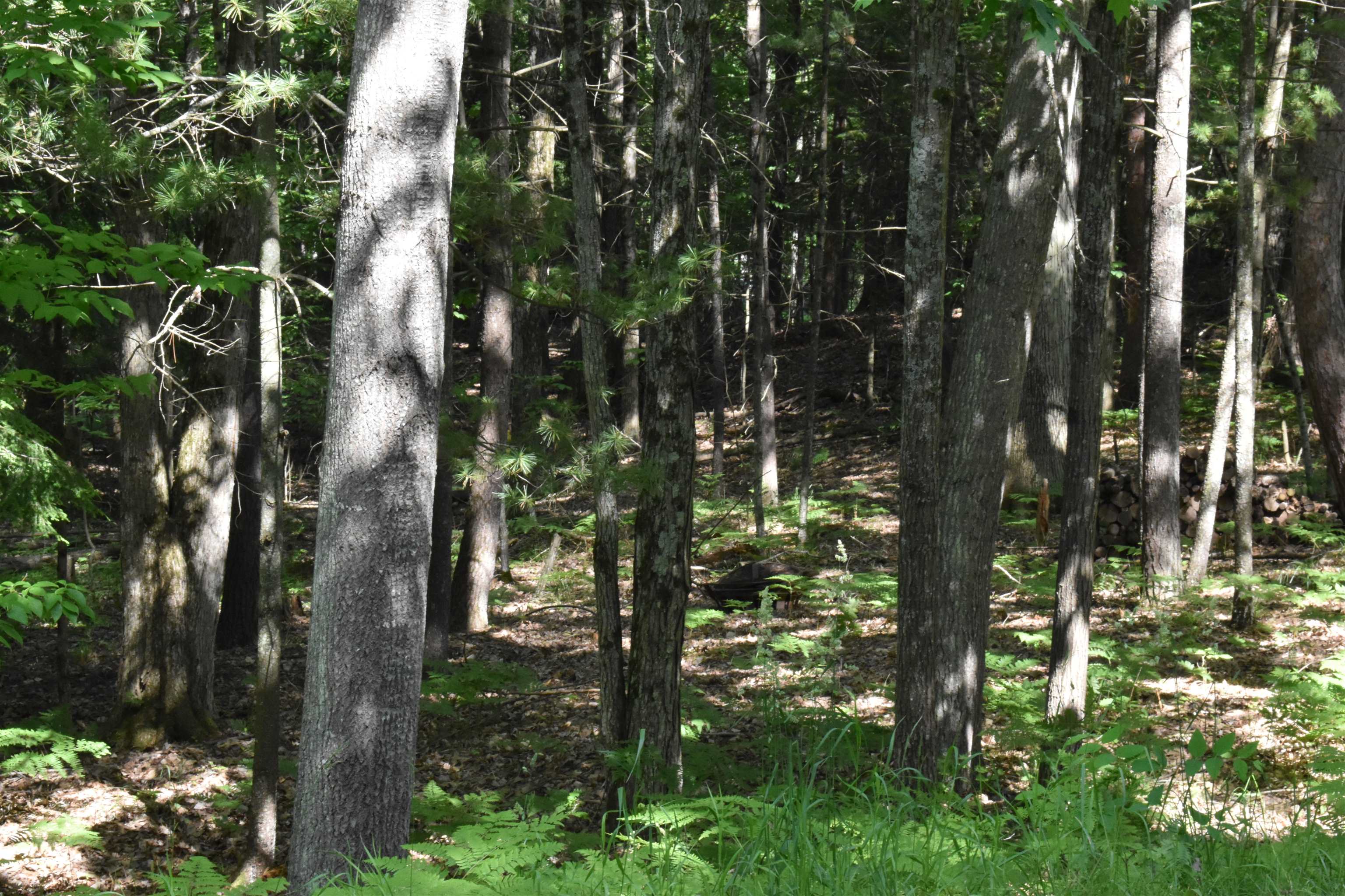 Lot 196 Princess Way Gladwin, MI 48624 - Photo 3 of 12