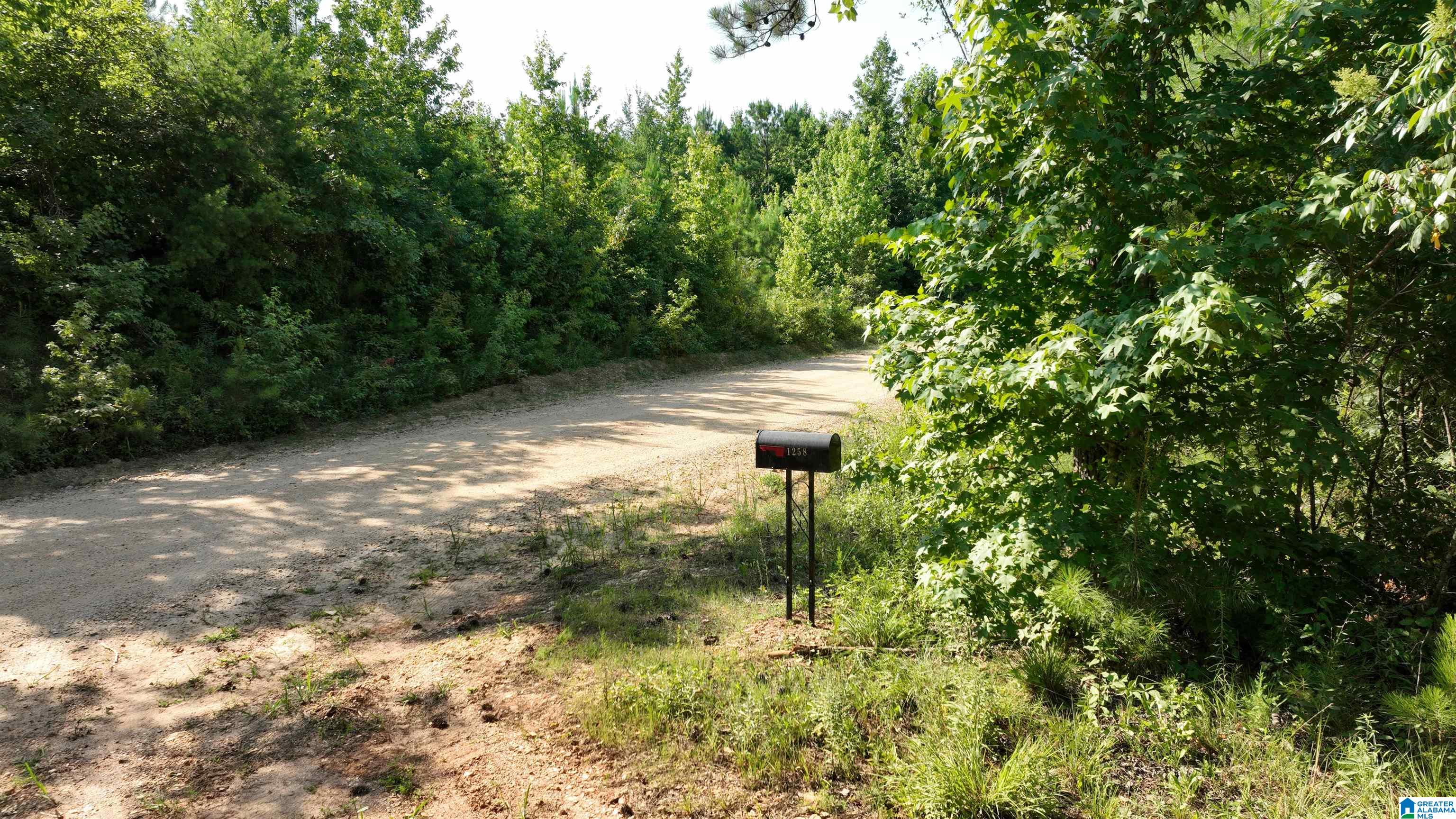 2 County Road 253, Unit 2 Clanton, AL 35046 - Photo 6 of 40