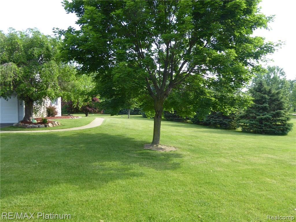 249 Dieterle Road Fowlerville, MI 48836 - Photo 3 of 36 Front yard.JPG