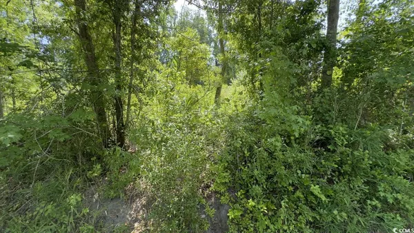 $10,500 | Undisclosed Address, Kingstree, SC 29556