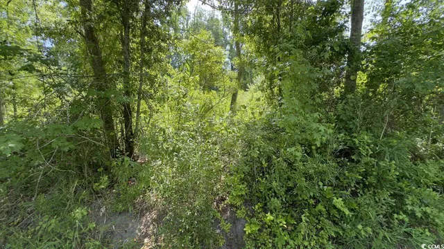 $10,500 | Undisclosed Address, Kingstree, SC 29556