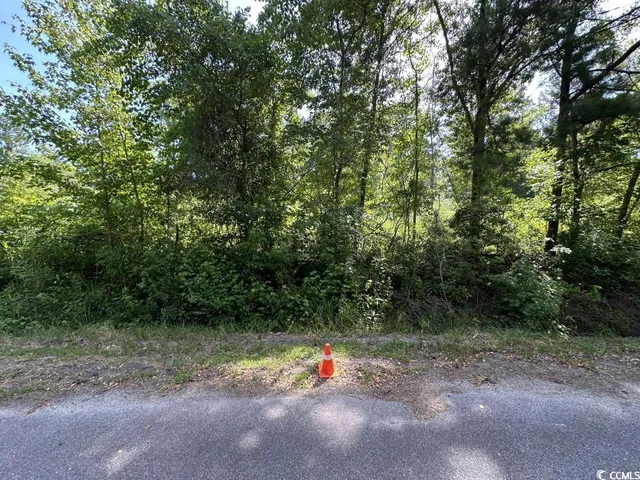 $10,500 | Undisclosed Address, Kingstree, SC 29556