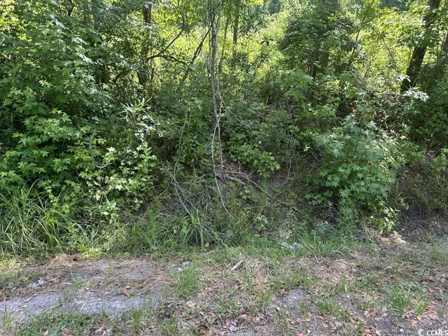 $10,500 | Undisclosed Address, Kingstree, SC 29556