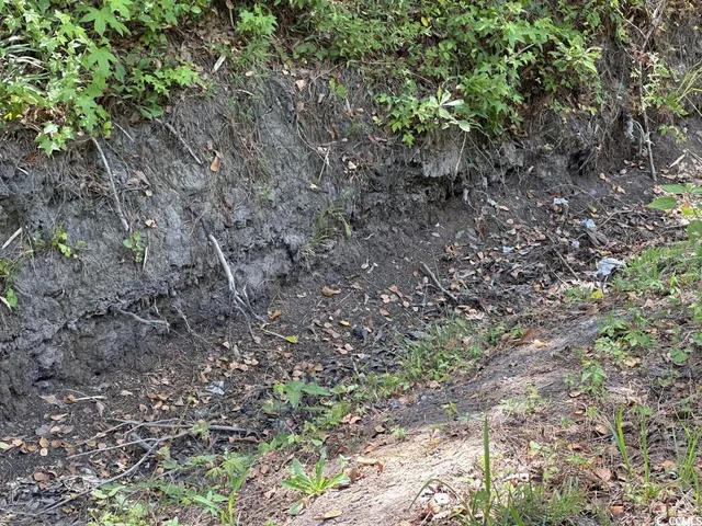 $10,500 | Undisclosed Address, Kingstree, SC 29556