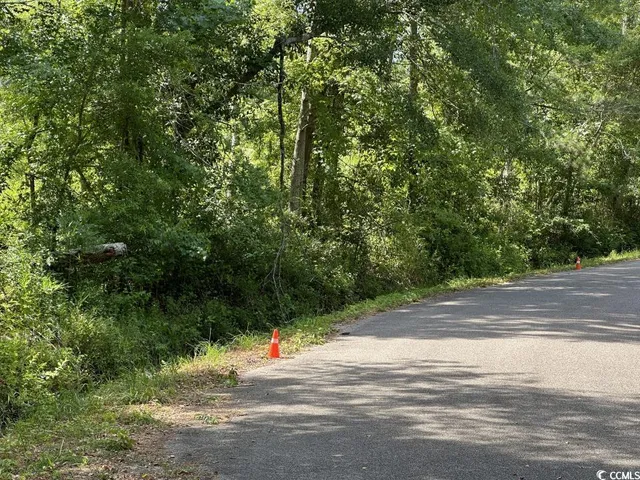 $10,500 | Undisclosed Address, Kingstree, SC 29556