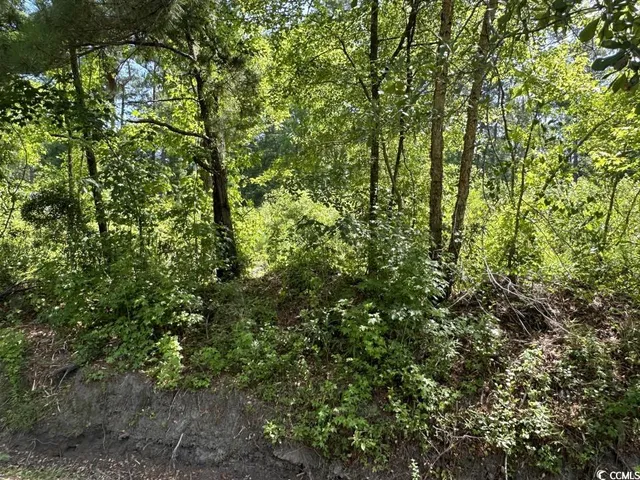 $10,500 | Undisclosed Address, Kingstree, SC 29556