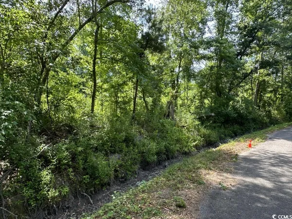 $10,500 | Undisclosed Address, Kingstree, SC 29556