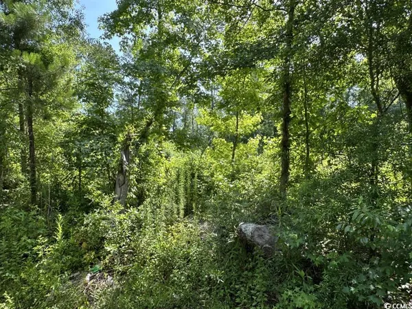 $10,500 | Undisclosed Address, Kingstree, SC 29556