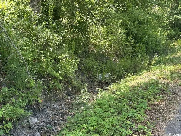 $10,500 | Undisclosed Address, Kingstree, SC 29556