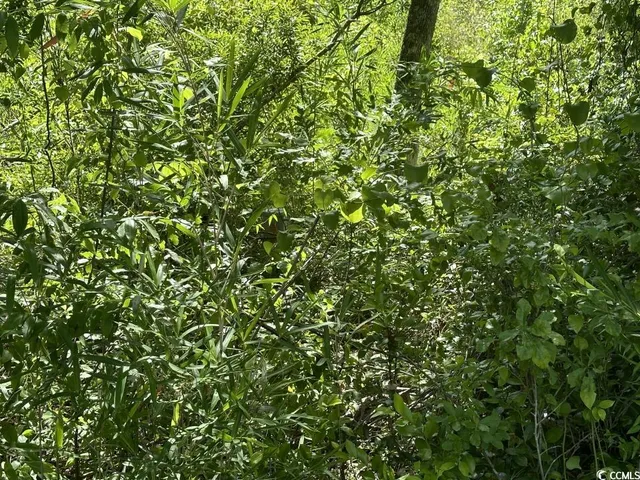 $10,500 | Undisclosed Address, Kingstree, SC 29556