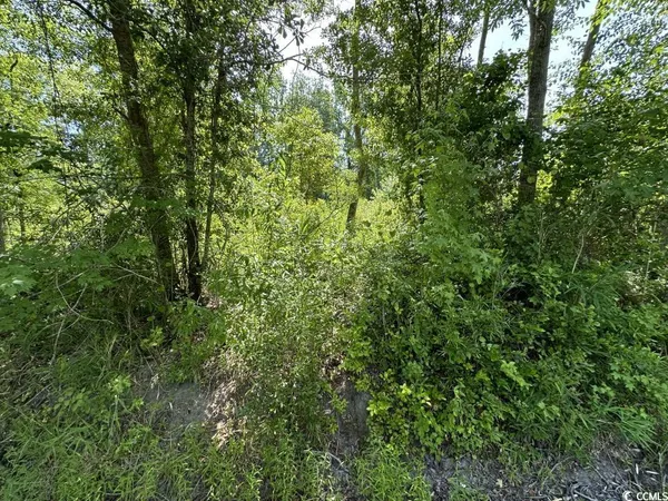 $10,500 | Undisclosed Address, Kingstree, SC 29556