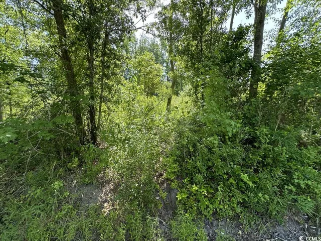 $10,500 | Undisclosed Address, Kingstree, SC 29556