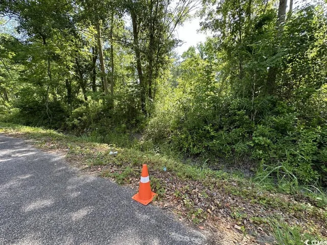 $10,500 | Undisclosed Address, Kingstree, SC 29556