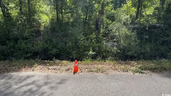 $10,500 | Undisclosed Address, Kingstree, SC 29556