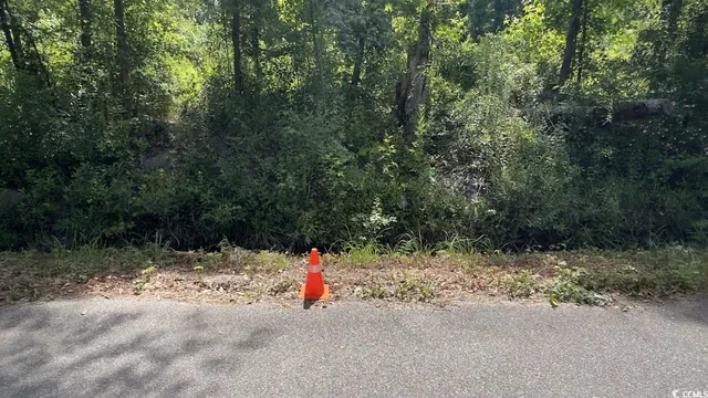 $10,500 | Undisclosed Address, Kingstree, SC 29556