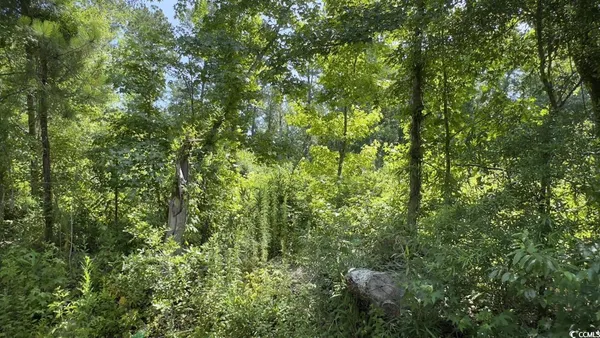 $10,500 | Undisclosed Address, Kingstree, SC 29556